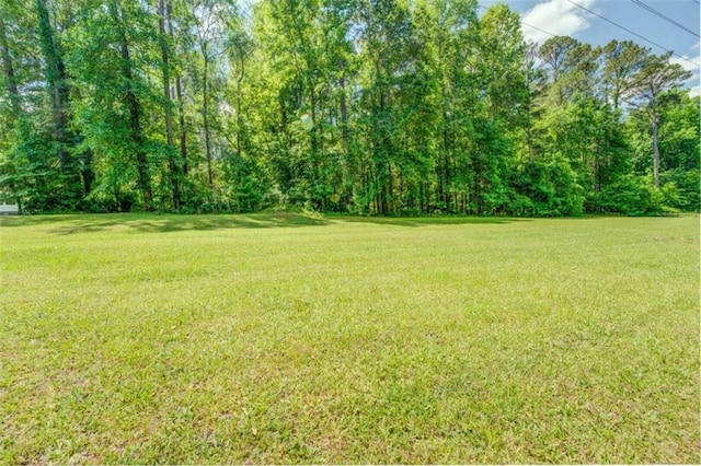 500 Cochran Rd, Covington, GA 30014 - view of green lawn