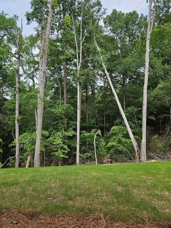 195 Silvercrest Dr, Acworth, GA 30101 - view of local wilderness