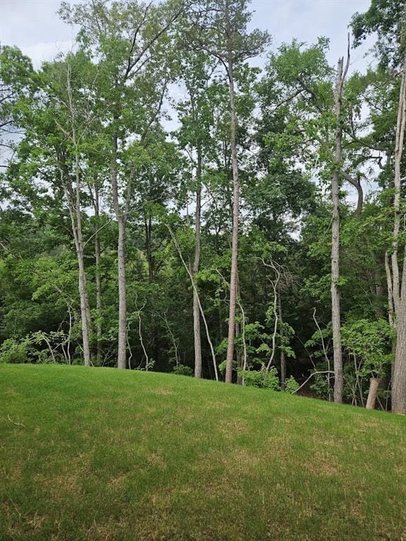 195 Silvercrest Dr, Acworth, GA 30101 - view of yard
