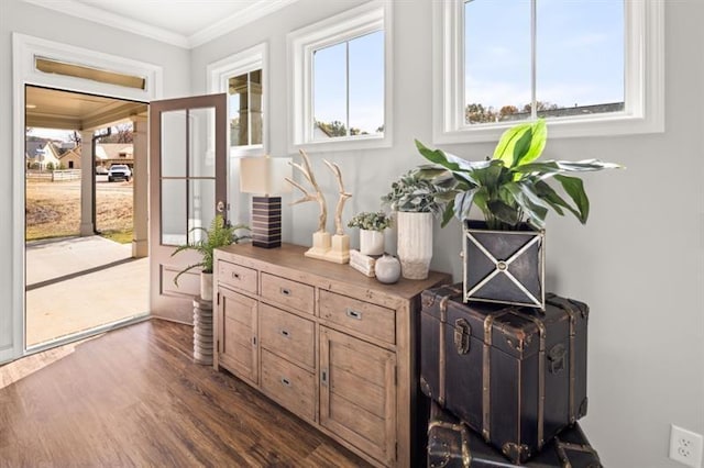 bar featuring dark hardwood / wood-style flooring, crown molding, and butcher block counters