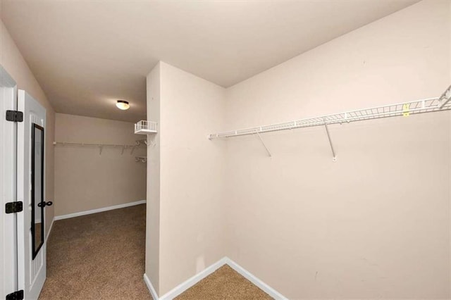 2375 Walker Dr, Hampton, GA 30228 - spacious closet featuring carpet