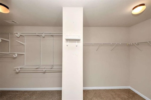 2375 Walker Dr, Hampton, GA 30228 - walk in closet with carpet floors and visible vents
