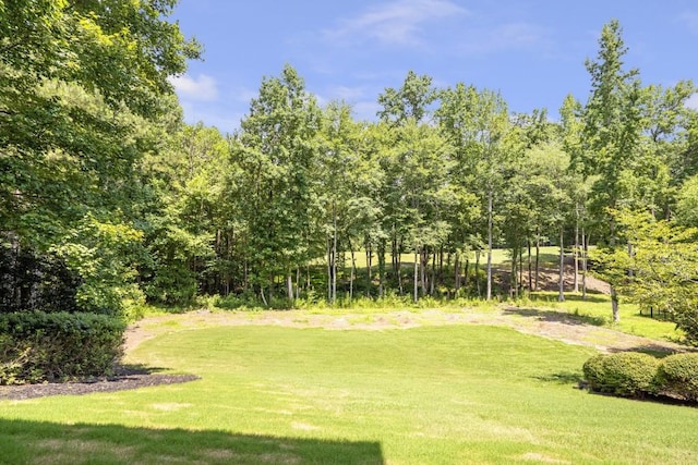 4317 Oglethorpe Loop NW, Acworth, GA 30101 - view of grassy yard