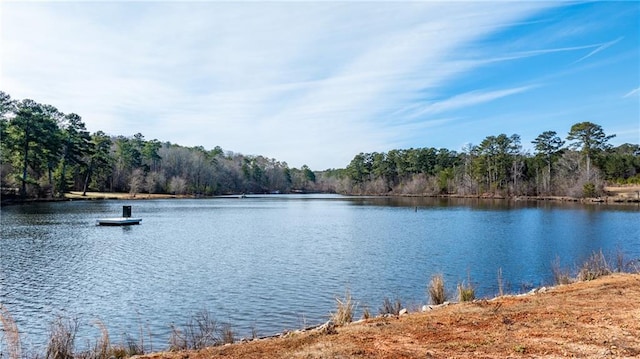 property view of water