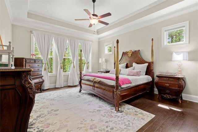 bedroom featuring baseboards, multiple windows, and a raised ceiling