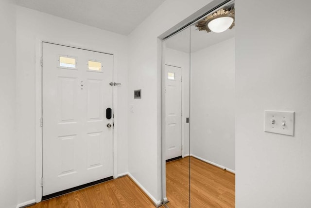 entrance foyer featuring wood-type flooring