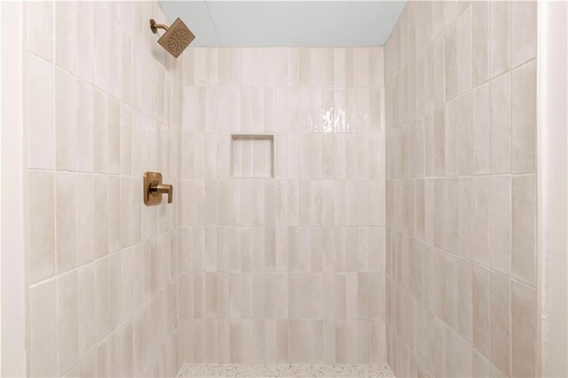 1010 Martin Ln, Canton, GA 30114 - full bathroom featuring tiled shower