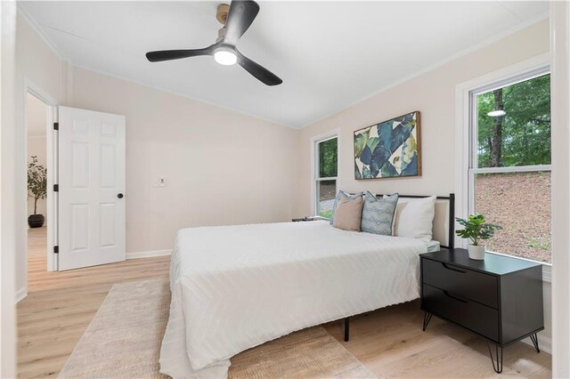 1010 Martin Ln, Canton, GA 30114 - bedroom with light wood finished floors, multiple windows, a ceiling fan, and ornamental molding