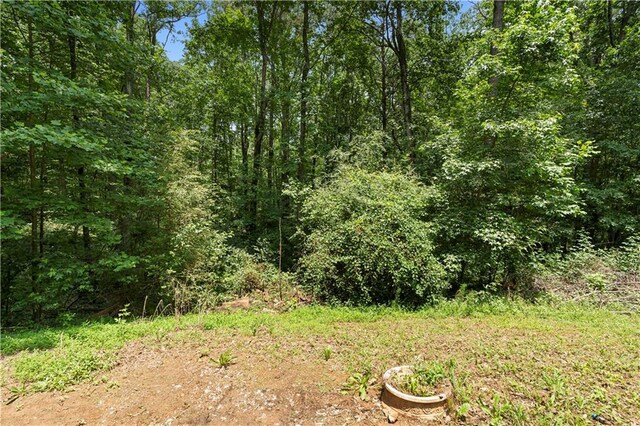 1010 Martin Ln, Canton, GA 30114 - view of woods