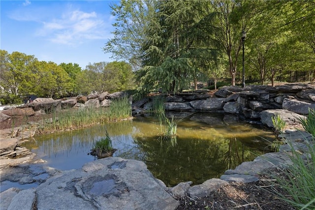 water view