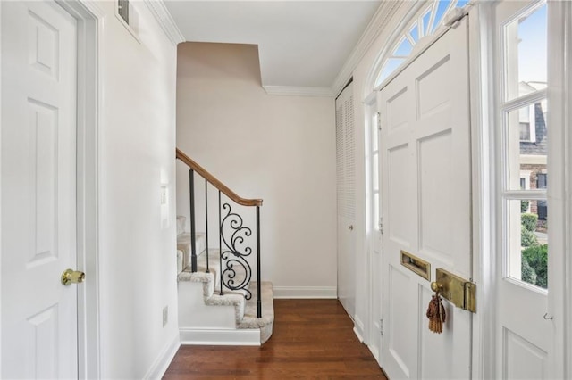 foyer featuring ornamental molding and dark hardwood / wood-style flooring