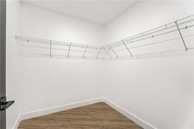 walk in closet with wood finished floors