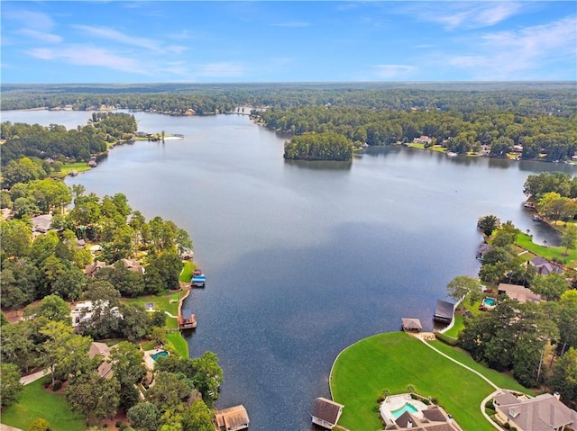 drone / aerial view with a forest view and a water view