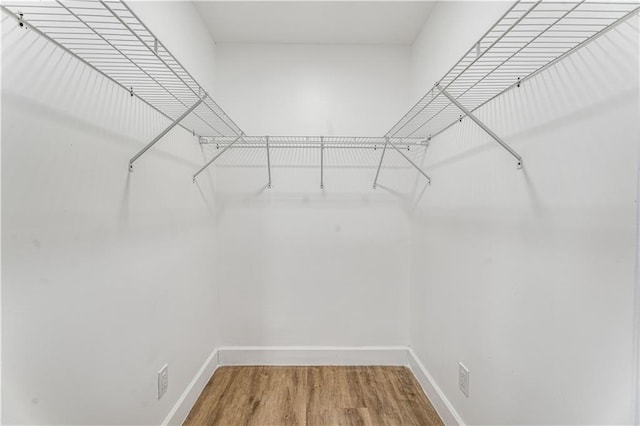 spacious closet featuring wood finished floors