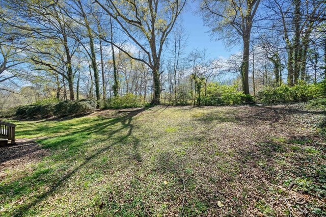 1286 Calhoun Ter SW, Atlanta, GA 30314 - view of yard