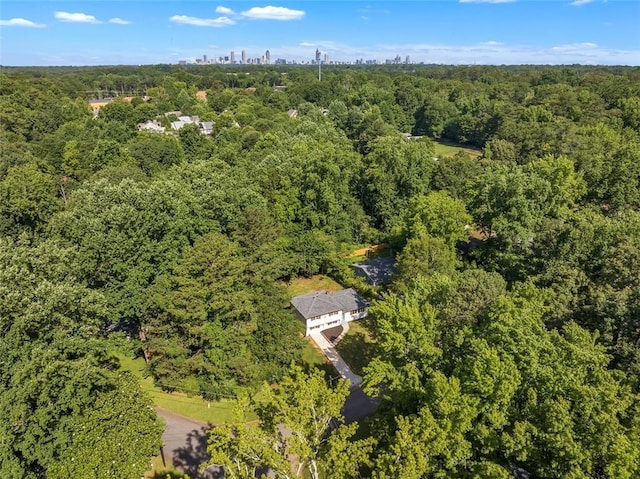 1893 Burning Tree Dr, Decatur, GA 30032 - drone / aerial view with a wooded view