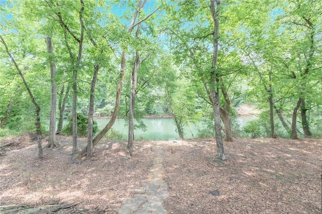 9175 Etching Overlook, Johns Creek, GA 30097 - view of yard featuring a water view