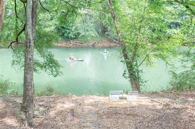 9175 Etching Overlook, Johns Creek, GA 30097 - water view with a heavily wooded area