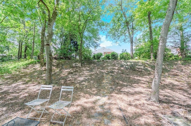 9175 Etching Overlook, Johns Creek, GA 30097 - view of yard