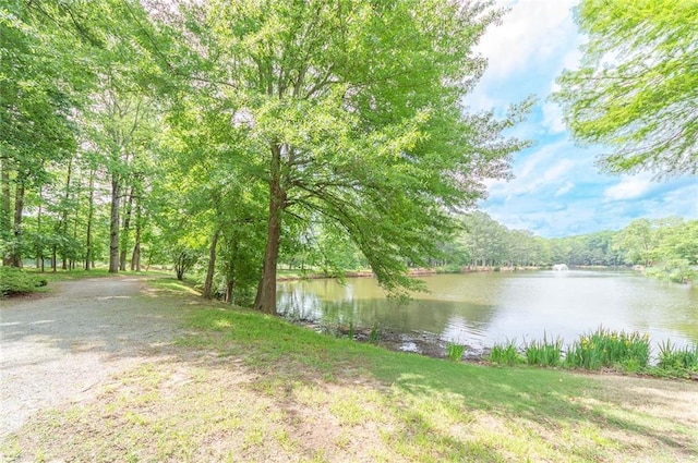9175 Etching Overlook, Johns Creek, GA 30097 - water view featuring a forest