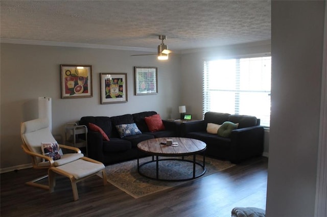 living room with ceiling fan, ornamental molding, dark hardwood / wood-style floors, and a textured ceiling