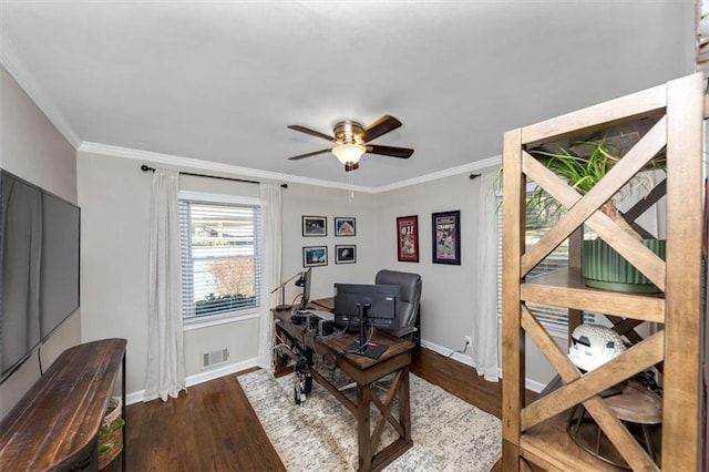 office featuring dark hardwood / wood-style flooring, crown molding, and ceiling fan