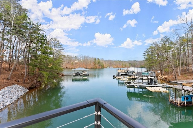 dock area featuring a water view