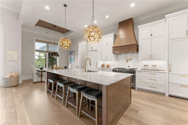 kitchen featuring premium range hood, light wood-style flooring, ornamental molding, decorative backsplash, and stainless steel stove