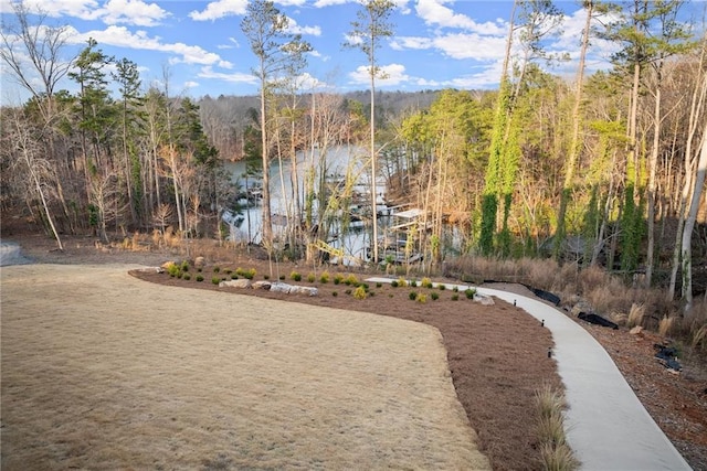 view of yard with a view of trees