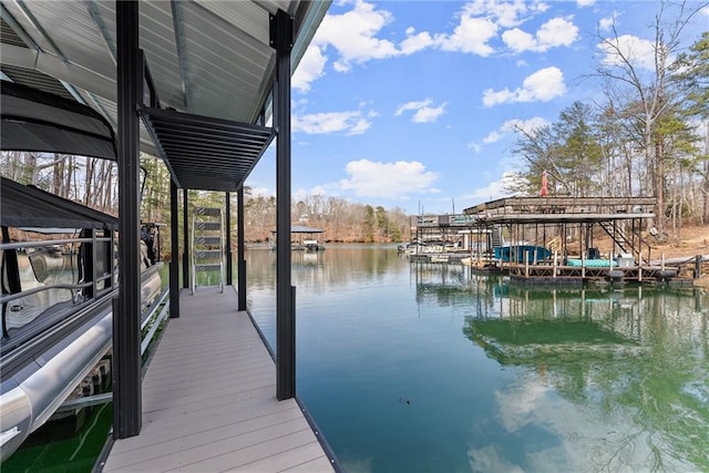 dock area with a water view