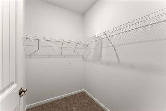 walk in closet with carpet