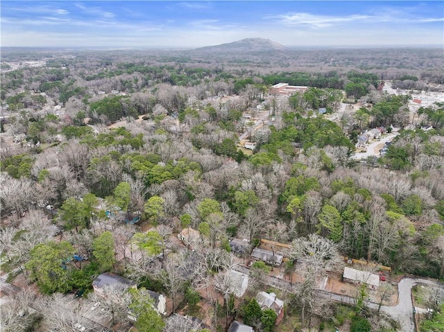 birds eye view of property featuring a mountain view and a wooded view