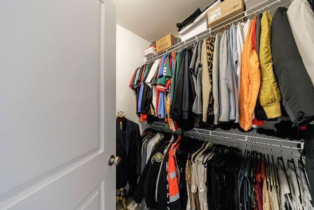 view of spacious closet