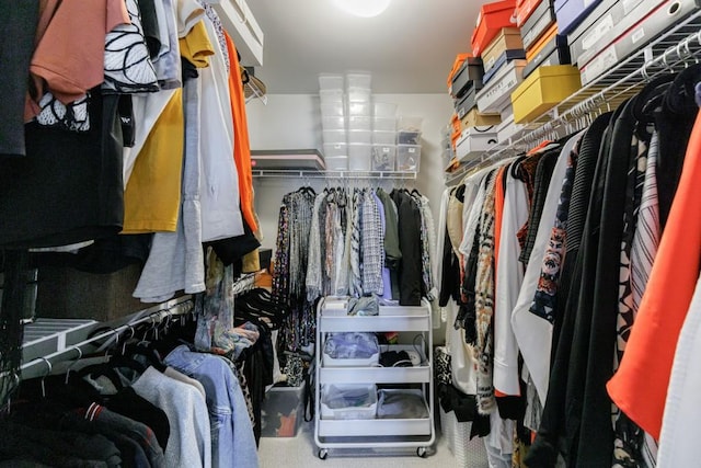 view of spacious closet