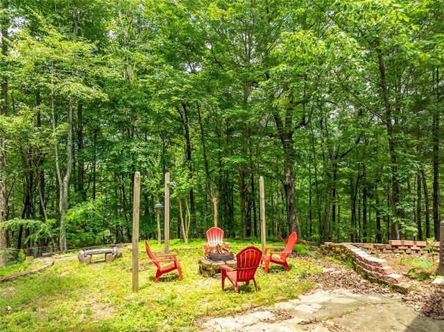 60 Laurel Ridge Ct, Ellijay, GA 30540 - view of yard with a fire pit