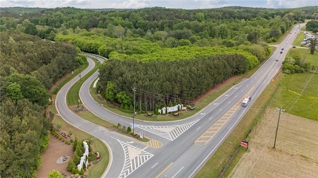 bird's eye view of a forest and a main thoroughfare
