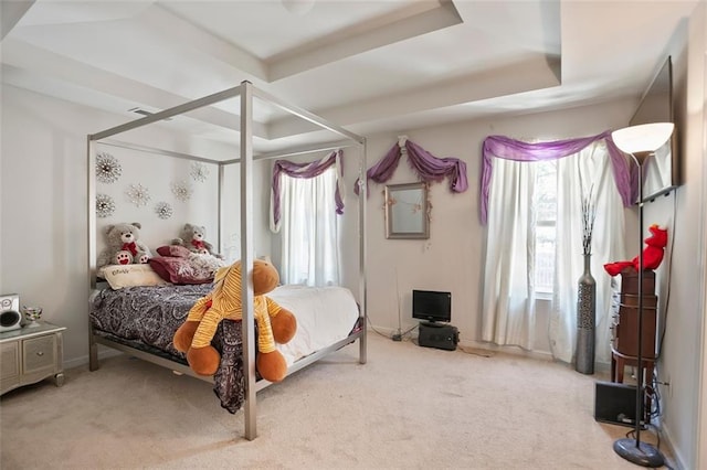 bedroom with a tray ceiling and carpet