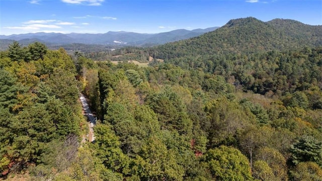 property view of mountains