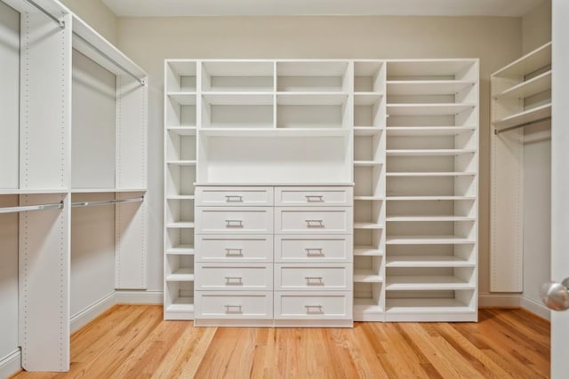 spacious closet featuring light hardwood / wood-style floors