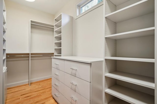 spacious closet with light wood-type flooring