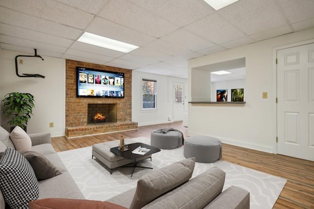 living room with a fireplace, a drop ceiling, and hardwood / wood-style floors