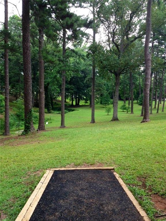 747 Dill Ave SW, Atlanta, GA 30310 - view of green lawn