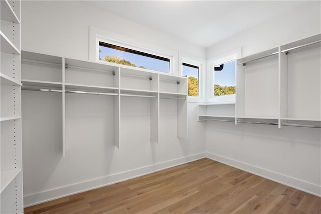 spacious closet with wood-type flooring