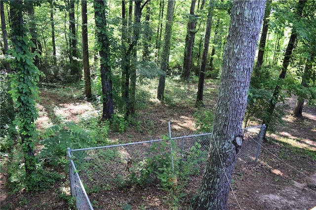 157 Sequoyah Cir, Canton, GA 30115 - view of yard