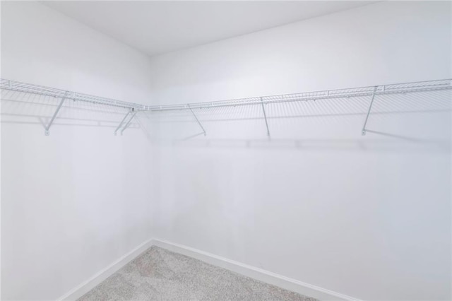 3739 Silvery Way, Powder Springs, GA 30127 - spacious closet with carpet floors