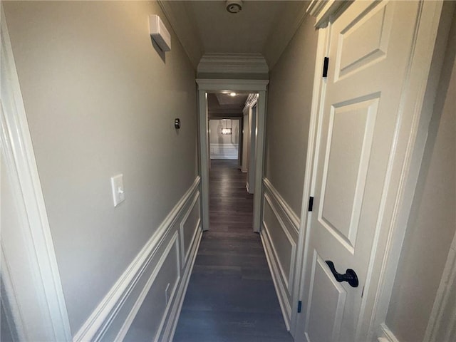 hallway with crown molding and dark wood-style flooring