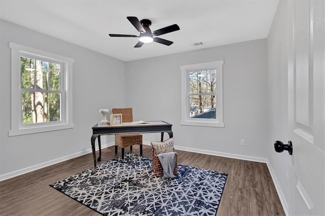 office area featuring dark hardwood / wood-style flooring and ceiling fan