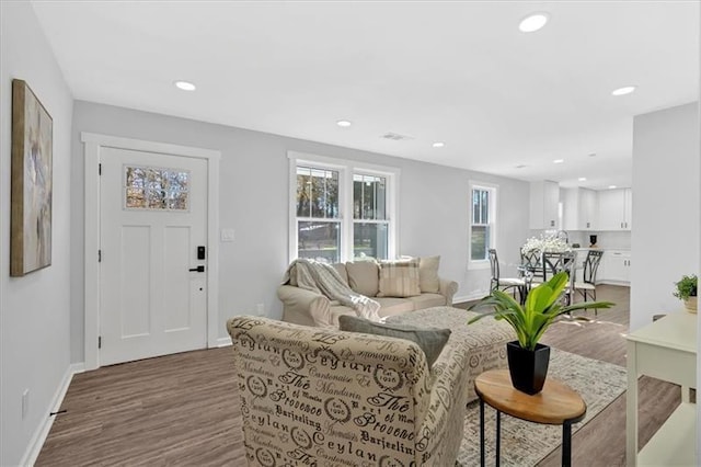 living room with hardwood / wood-style flooring