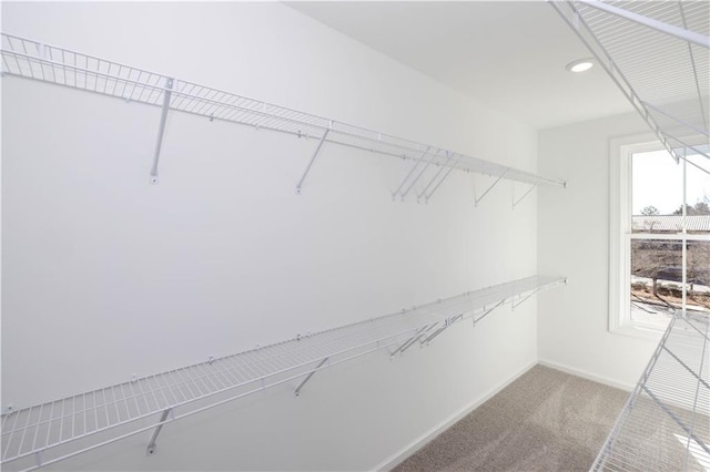 walk in closet featuring carpet floors