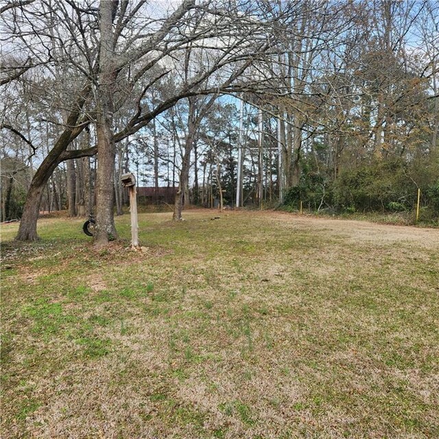 582 S Cherokee Rd, Social Circle, GA 30025 - view of yard
